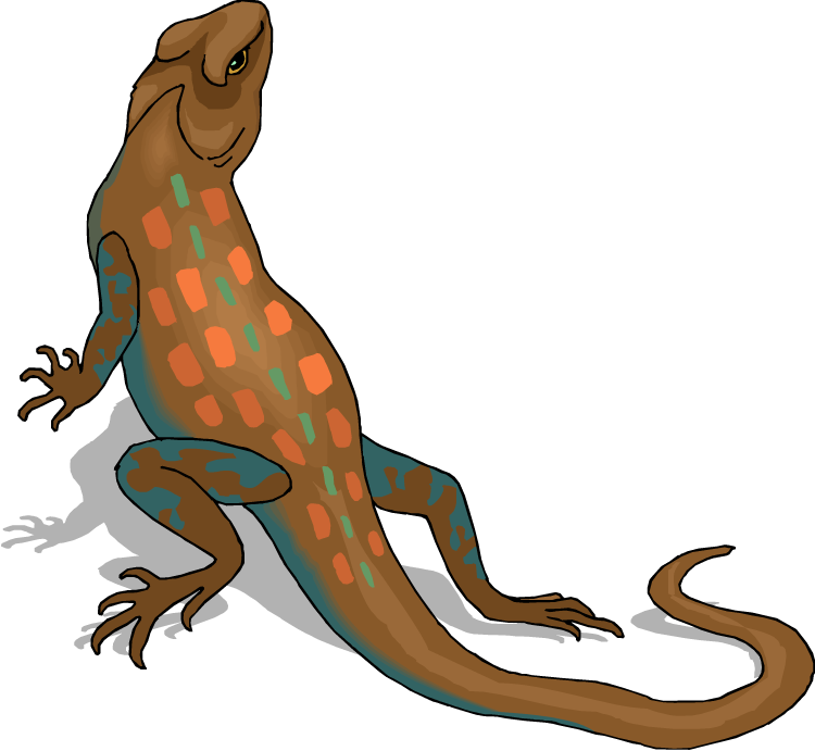Horned Lizard Png Hd - Horned Lizard Clip Art , HD Wallpaper & Backgrounds