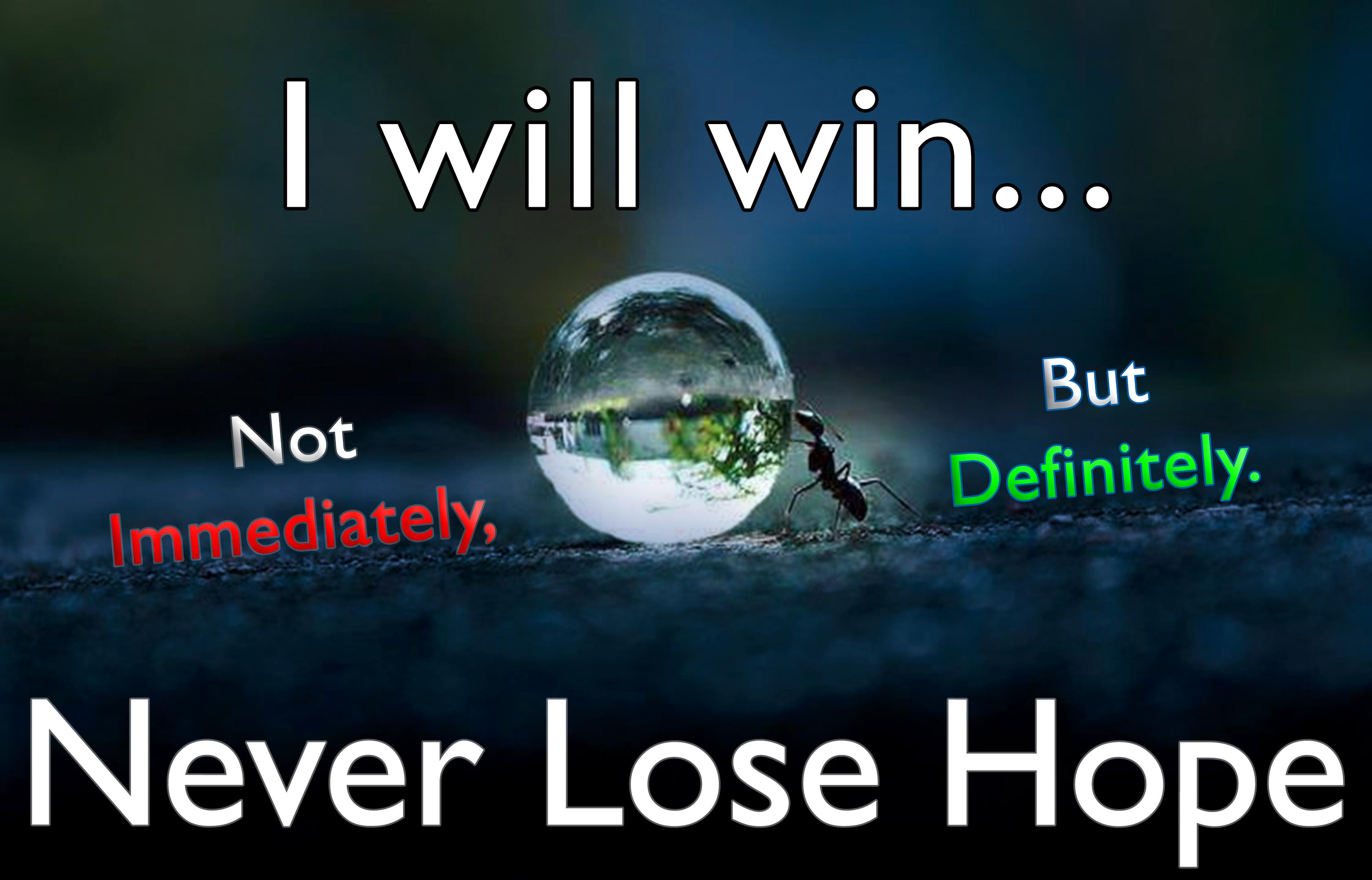 I Will Win Not Immediately But Definitely Wallpaper - Will Win Not Immediately But Definitely , HD Wallpaper & Backgrounds