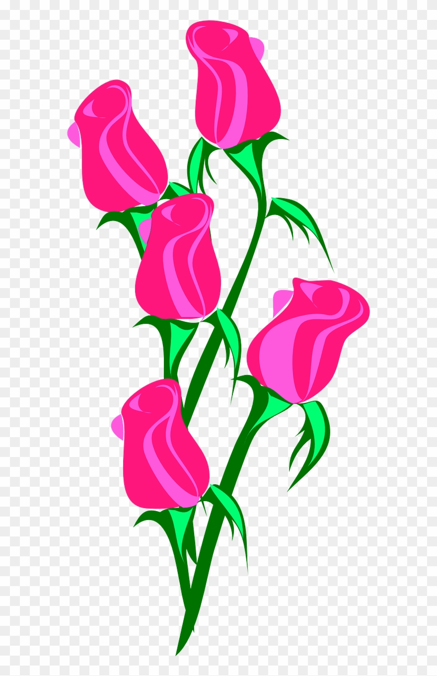 Rose Bunch Pink Closed Love Png Image - Roses Clip Art , HD Wallpaper & Backgrounds