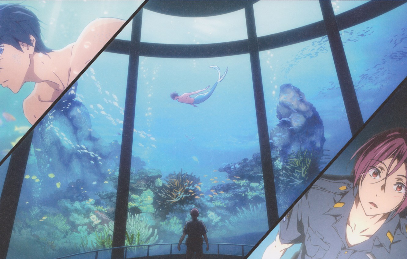 Photo Wallpaper Fish, Algae, Meeting, Mermaid, Aquarium, - Русалка В Аквариуме Арт , HD Wallpaper & Backgrounds