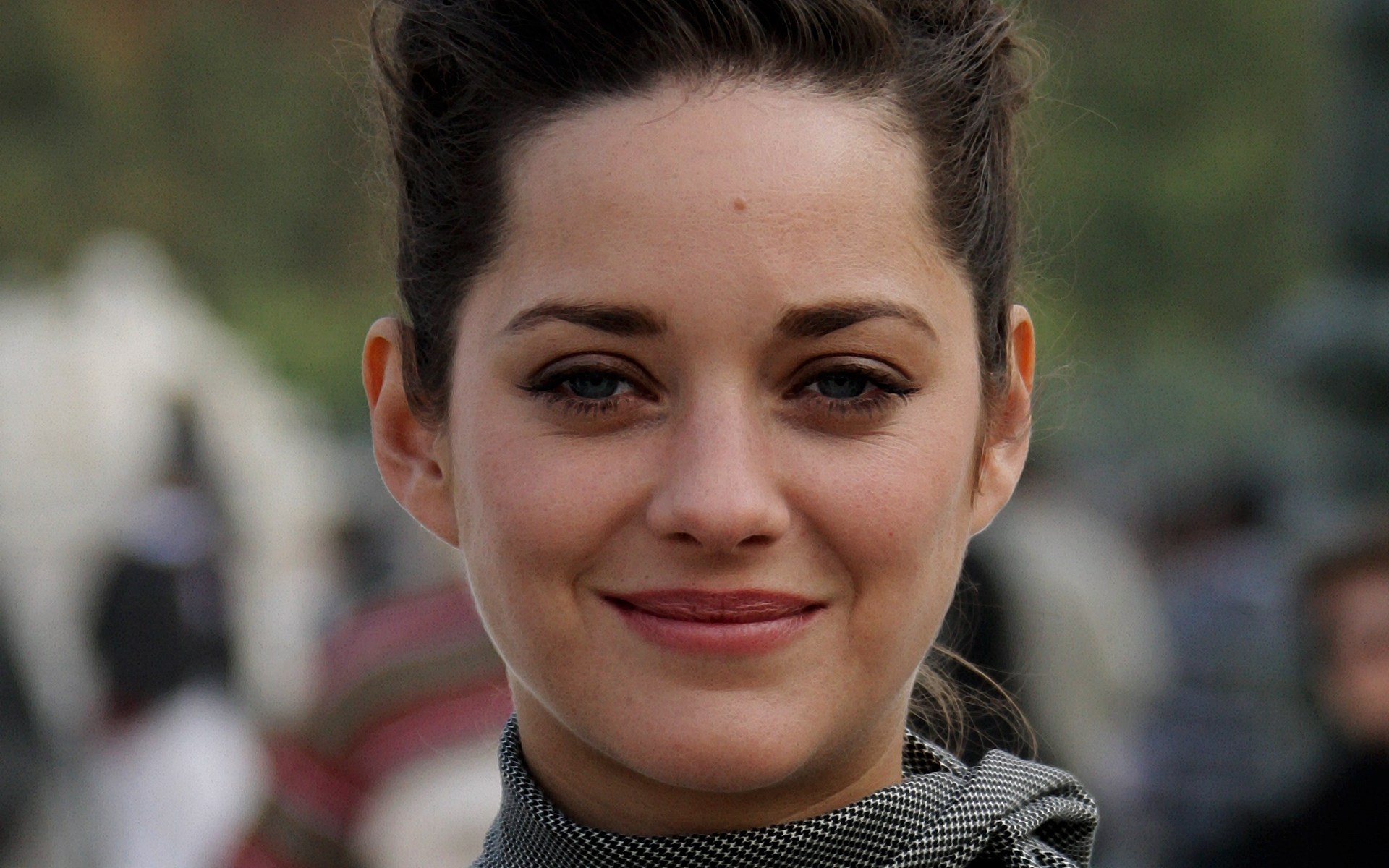 Marion Cotillard Hd Wallpaper - Marion Cotillard Face Hd , HD Wallpaper & Backgrounds