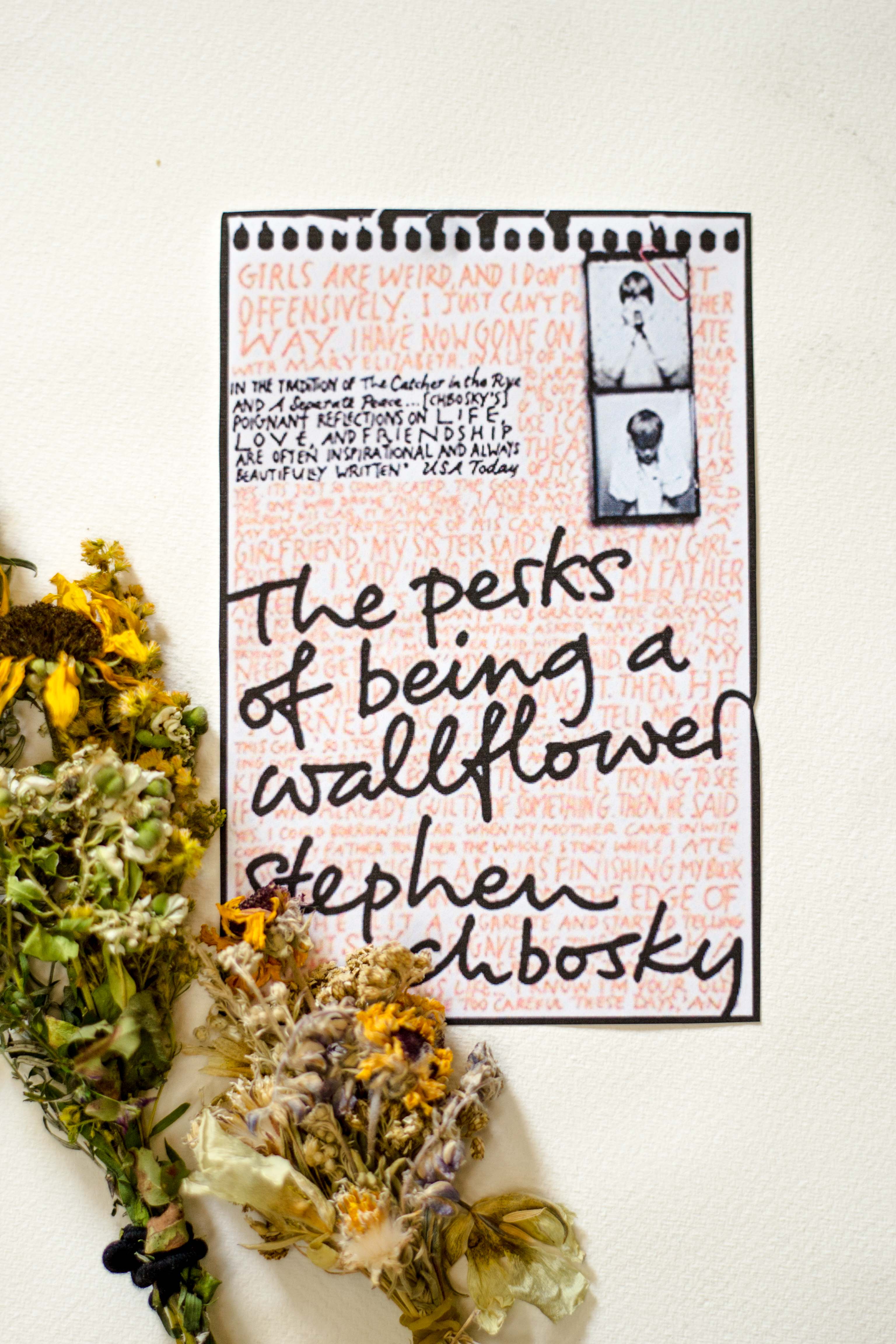 “perks Of Being A Wallflower” - Perks Of Being A Wallflower 0 Stephen Chbosky , HD Wallpaper & Backgrounds
