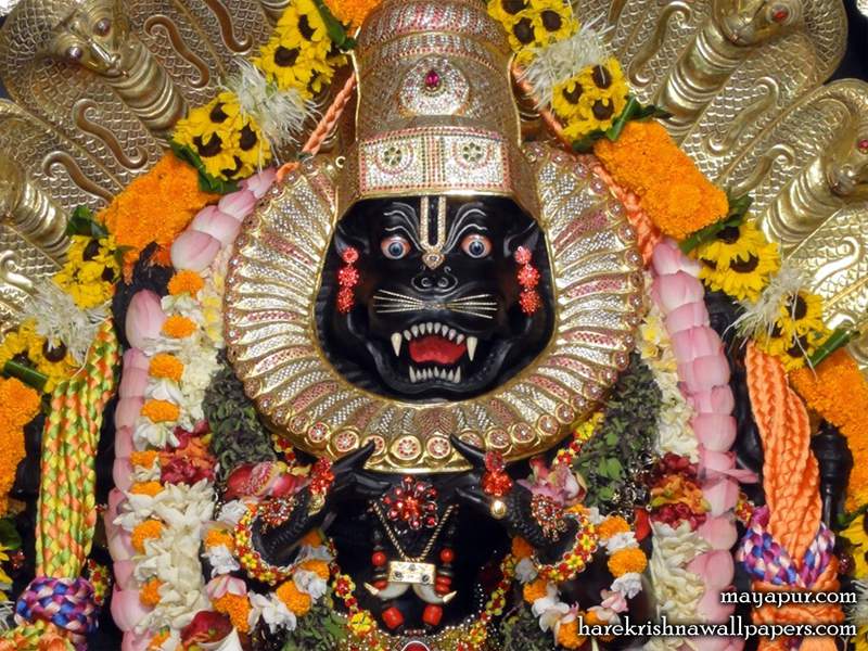 Narasimha Wallpaper - Narsimha Iskcon , HD Wallpaper & Backgrounds