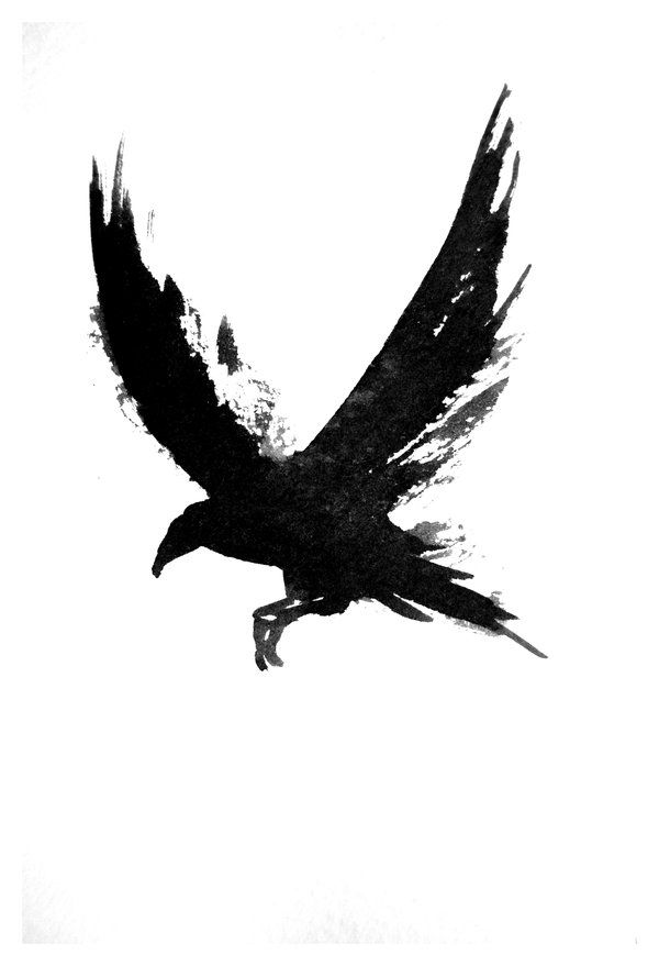 Images Of Crow Tattoos Designs And Meaning Wallpaper - Raven Black And White , HD Wallpaper & Backgrounds