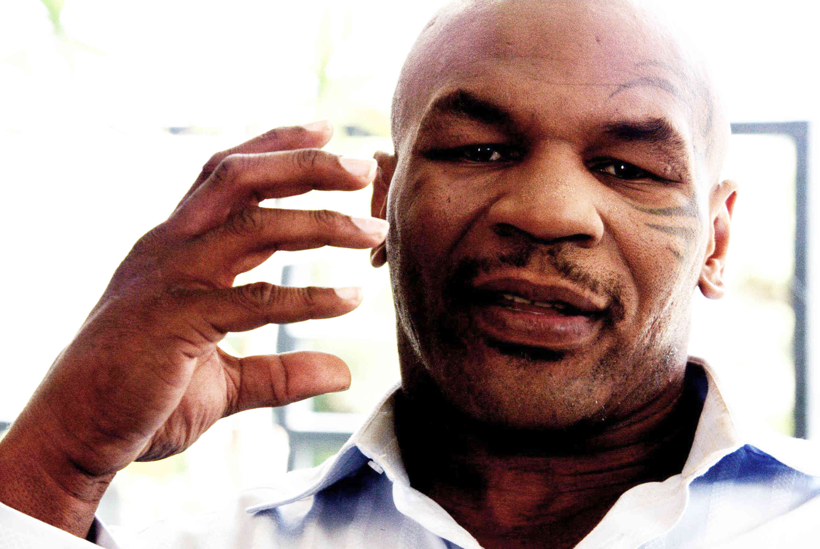 Mike Tyson Wallpapers Hd Hot Large 36687 - عکس جدید تایسون , HD Wallpaper & Backgrounds