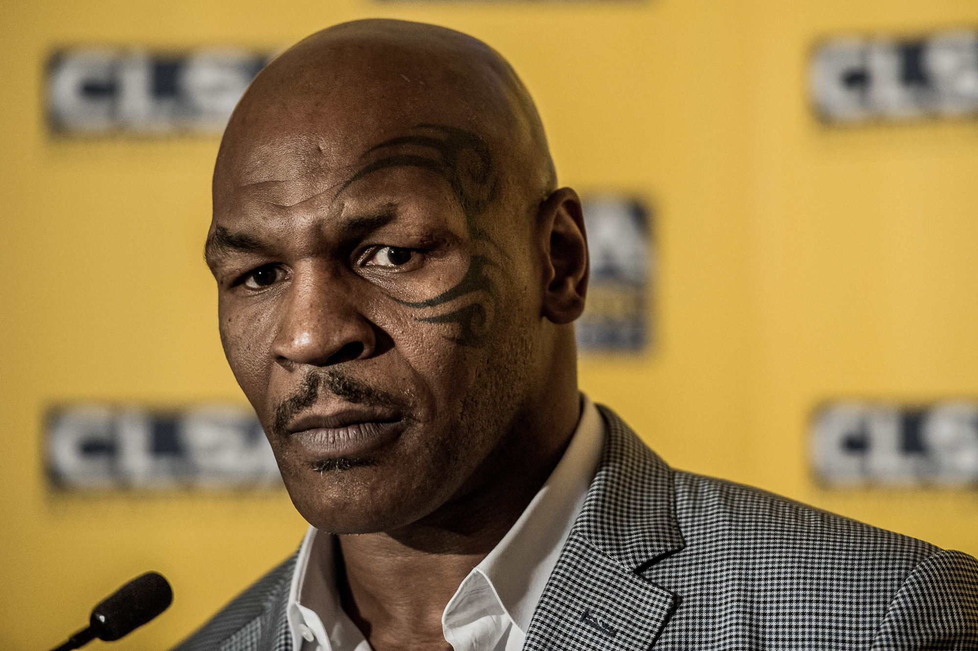 1080p Wallpapers Mike Tyson Background - Davey Hunt , HD Wallpaper & Backgrounds