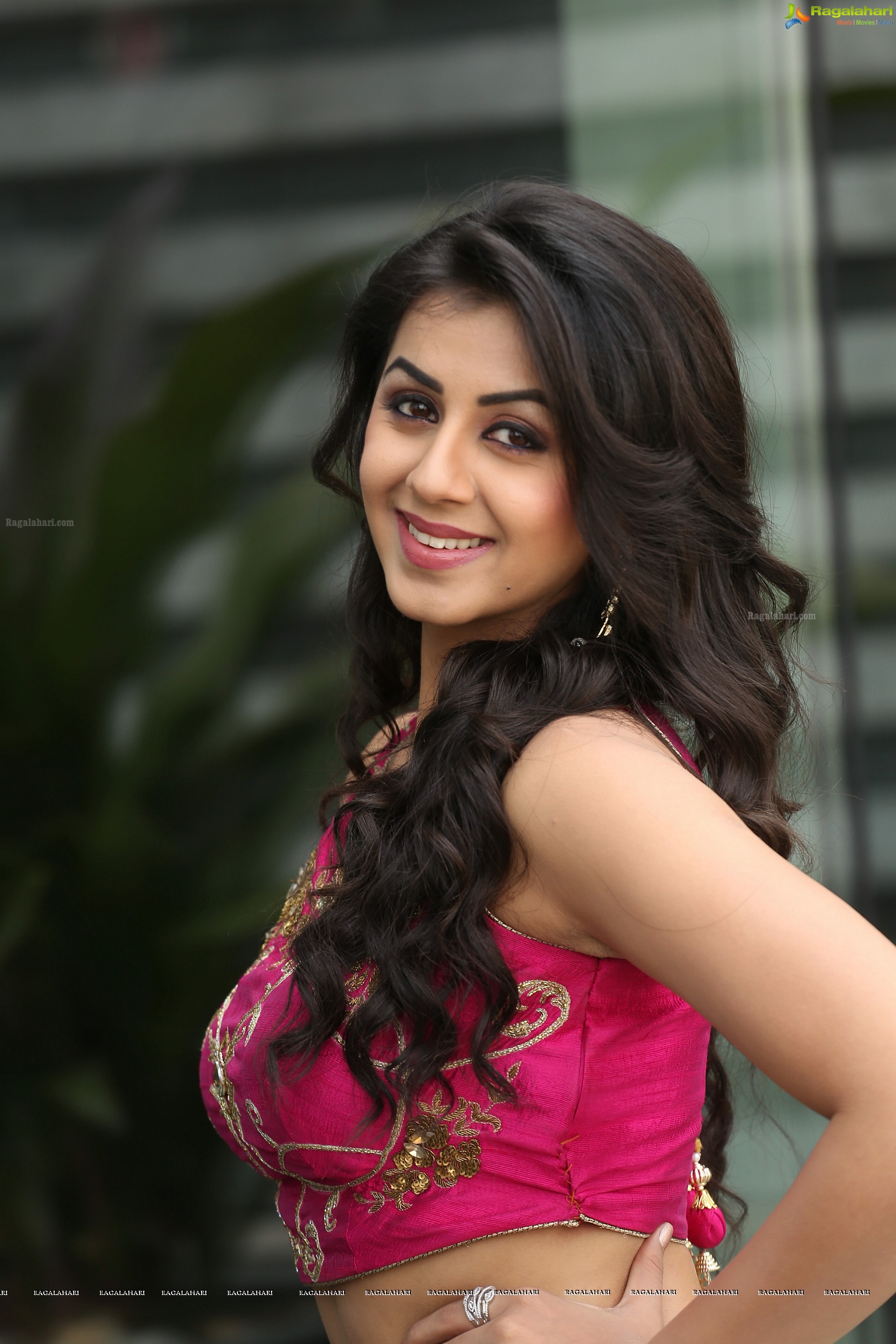 Nikki Galrani Hd Photo Gallery - Ragalahari Nikki Galrani , HD Wallpaper & Backgrounds