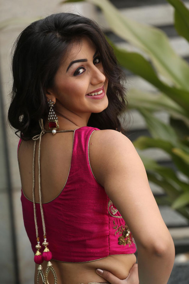 Nikki Galrani Latest Pics - Nikki Galrani In Saree Navel , HD Wallpaper & Backgrounds