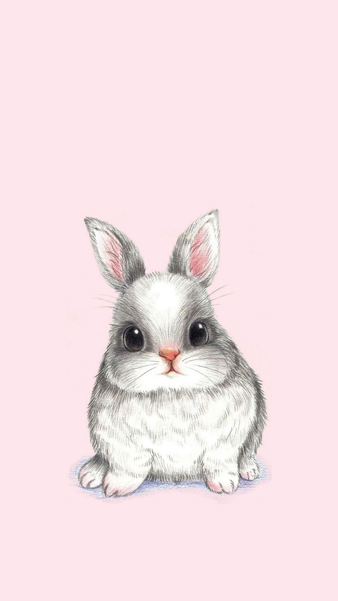 Bunny Rabbit Phone Wallpaper - Cute Bunny Wallpaper Phone , HD Wallpaper & Backgrounds