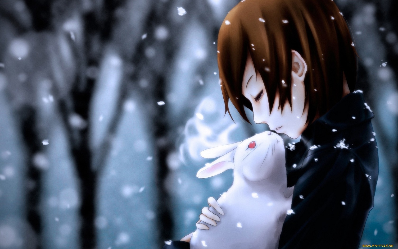 267kib, 1680x1050, Chico Abrazando A Un Conejo-940683 - Anime Guy With Rabbit , HD Wallpaper & Backgrounds