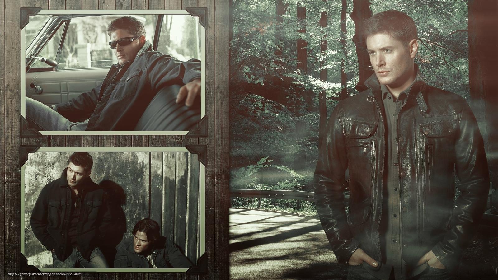 Jared Padalecki Wallpaper - Jensen Ackles , HD Wallpaper & Backgrounds