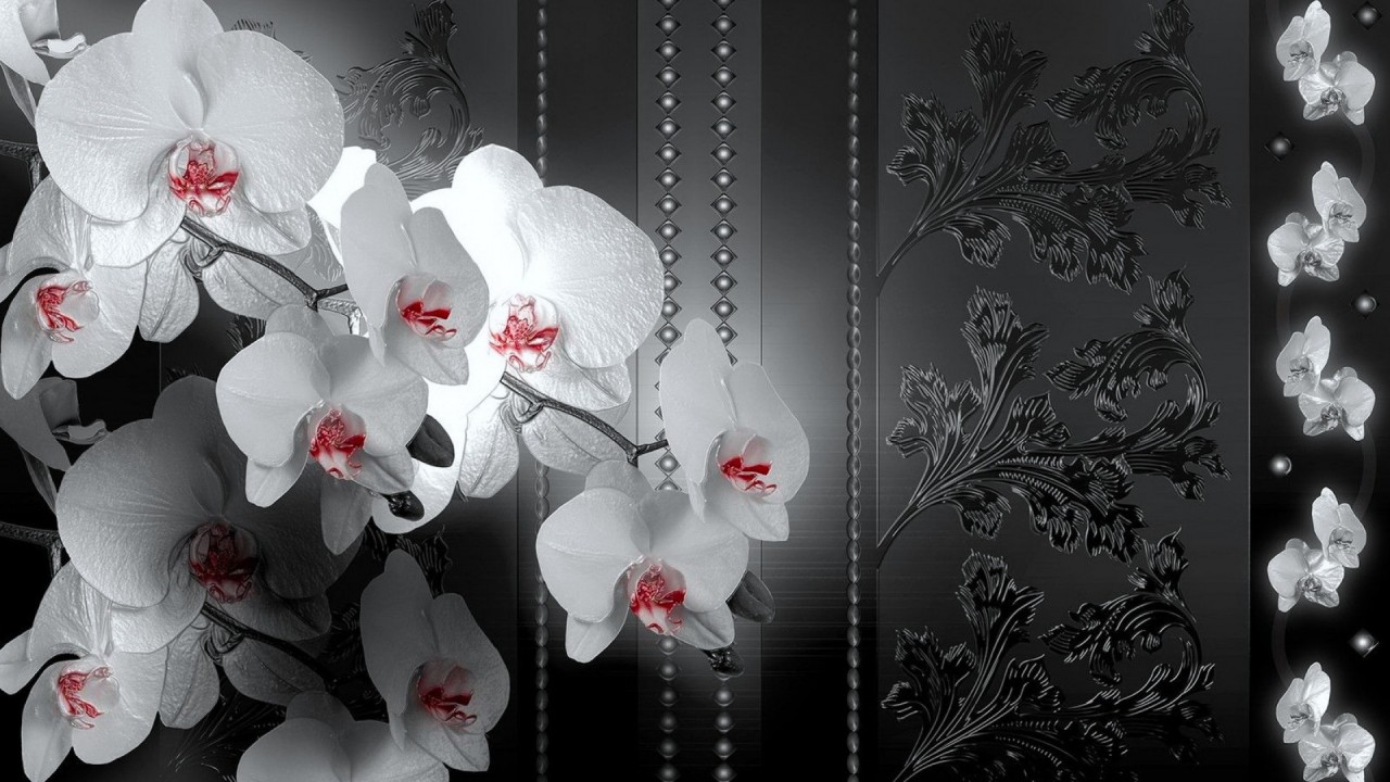 Originalhd Las Orquídeas Elegantes Y Hojas Negras Wallpapers - Elegant Wallpaper For Facebook , HD Wallpaper & Backgrounds