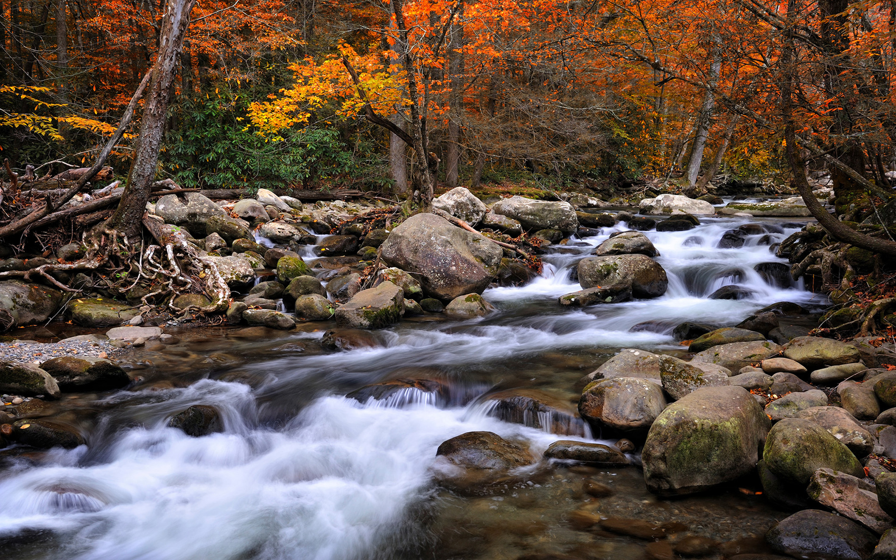 Beautiful National Parks In America Great Smoky Mountains - Mountain Stream Fall , HD Wallpaper & Backgrounds