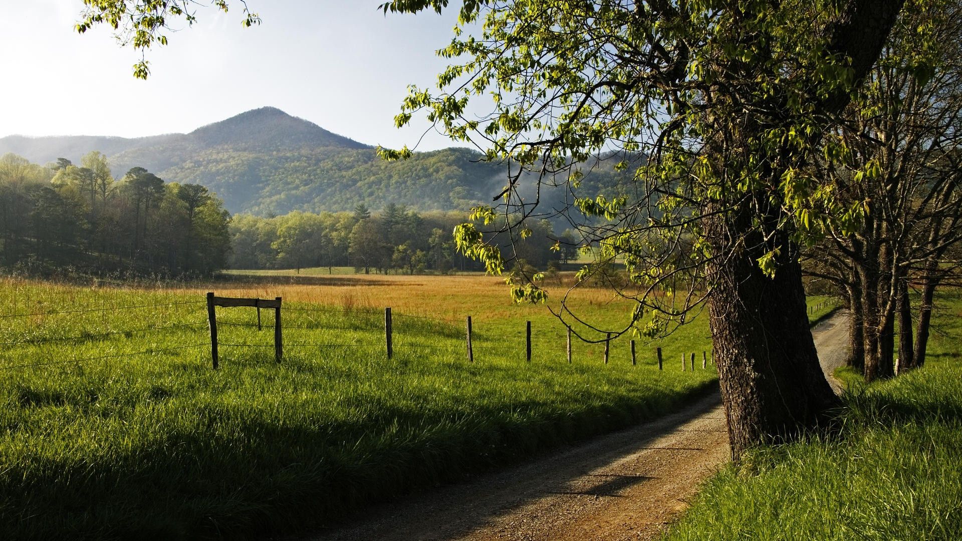 Great Smoky Mountains National Park Wallpaper - Native American Mounds In Madison , HD Wallpaper & Backgrounds