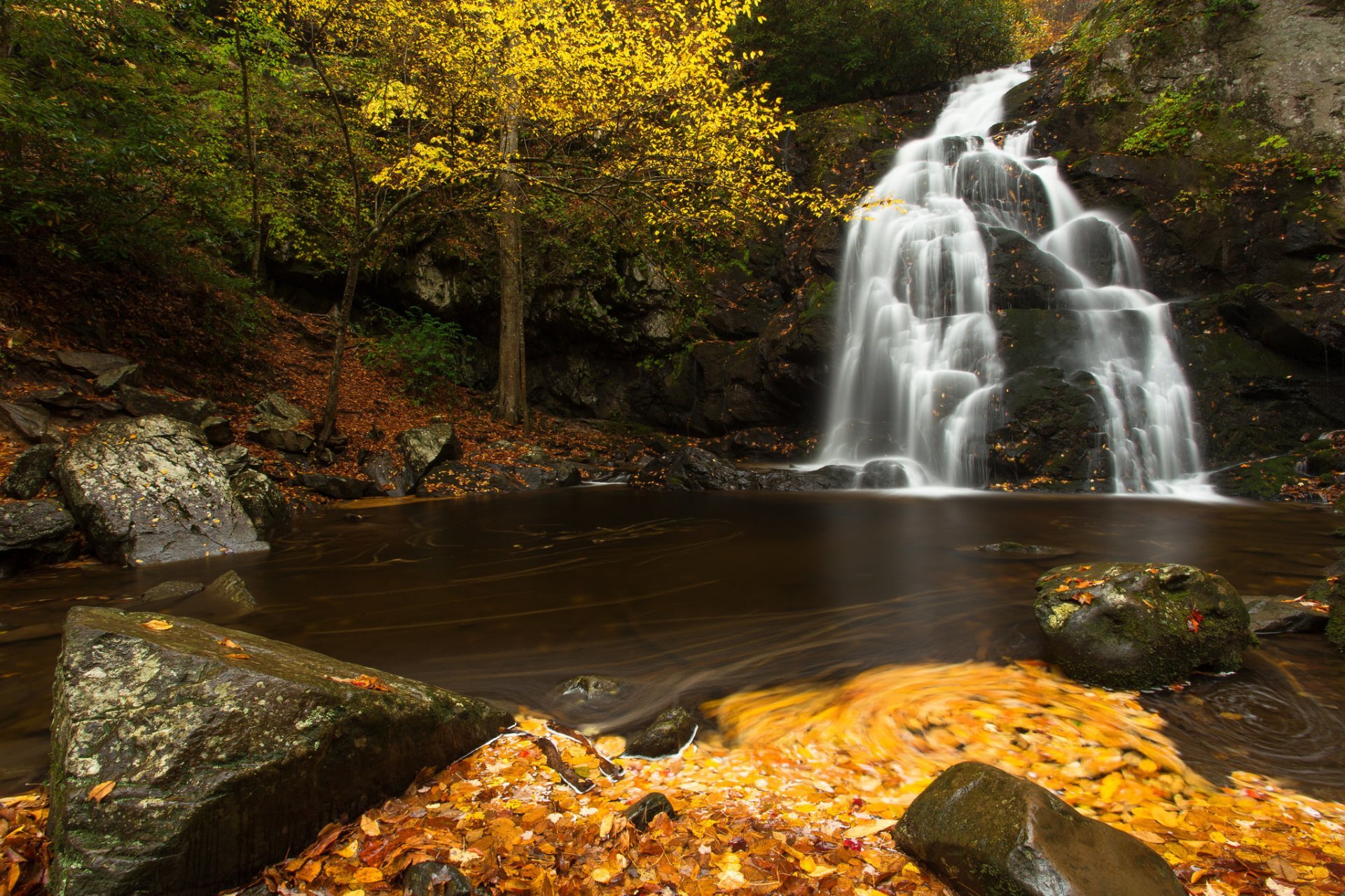 Photo Wallpaper Autumn, Leaves, River, Stones, Waterfall, - Spruce Flats Falls , HD Wallpaper & Backgrounds