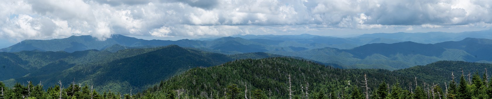 Smoky Mountains, Mountains, Panorama - Spruce-fir Forest , HD Wallpaper & Backgrounds