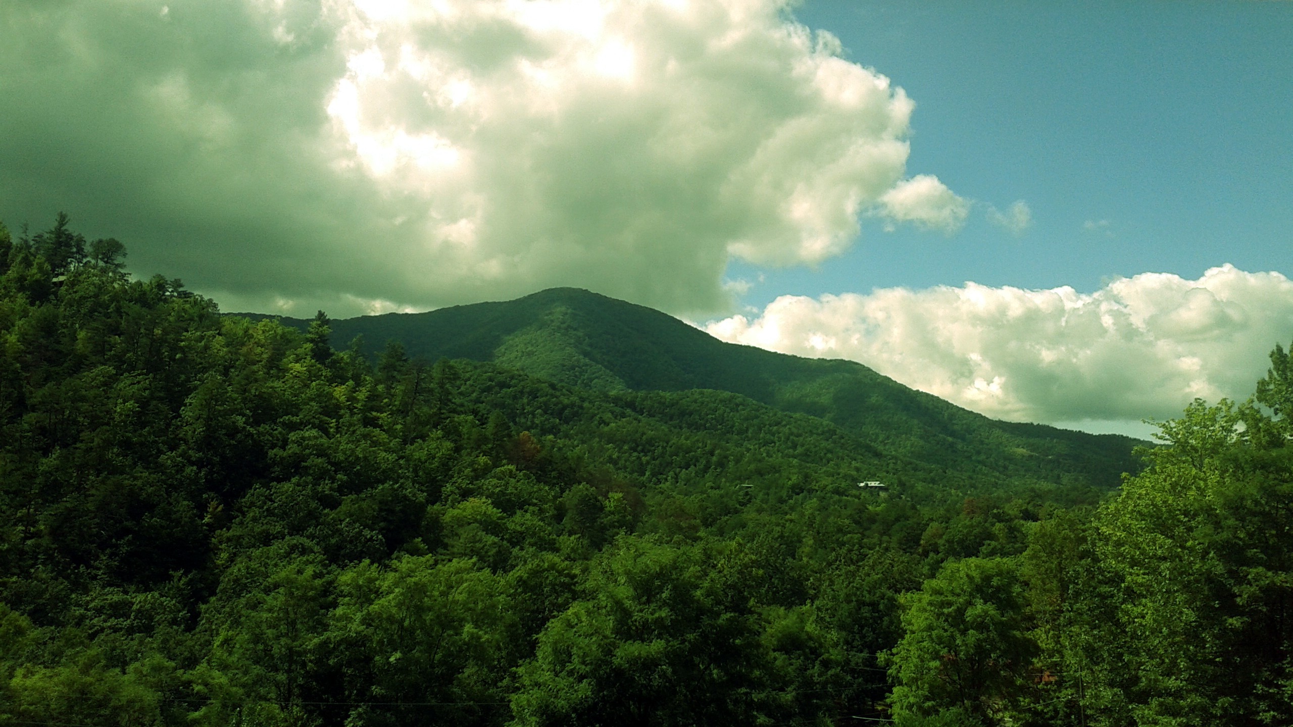 Tennessee, Smoky Mountains, Forest, Mountain, Landscape - Smoky Mountains Tennessee Desktop Background , HD Wallpaper & Backgrounds