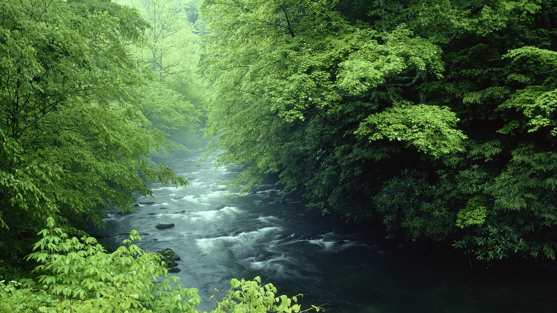 Great Smoky Mountains - Great Smoky Mountain Backgrounds , HD Wallpaper & Backgrounds