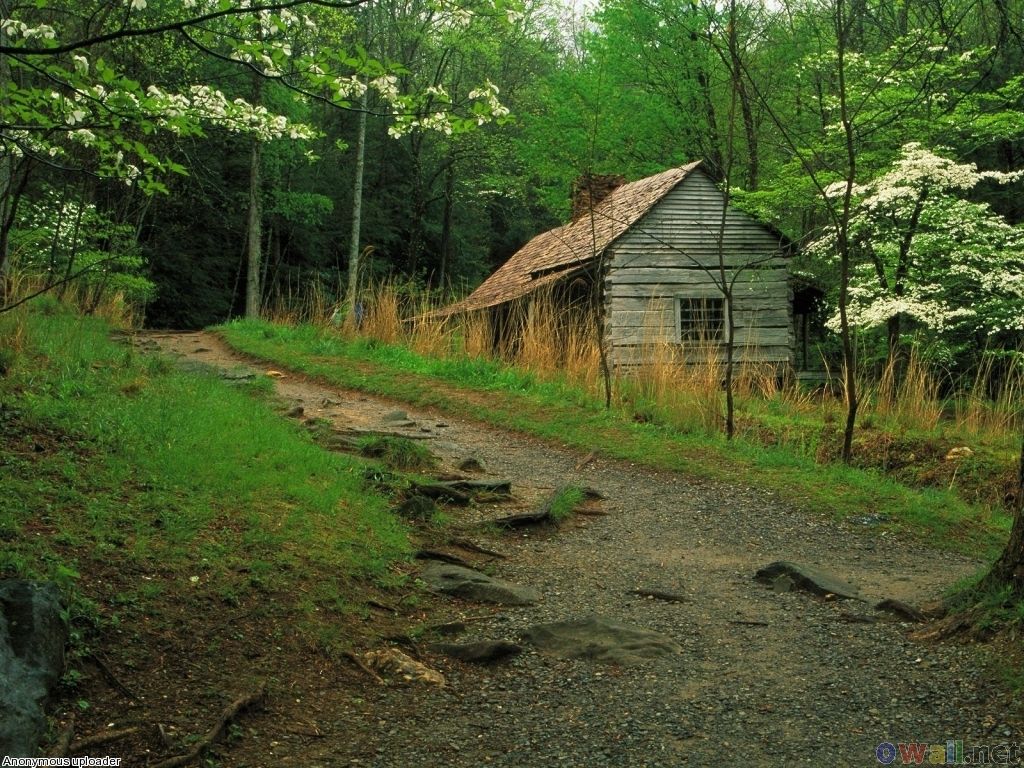 Image Detail For - Cabin In The Mountains , HD Wallpaper & Backgrounds