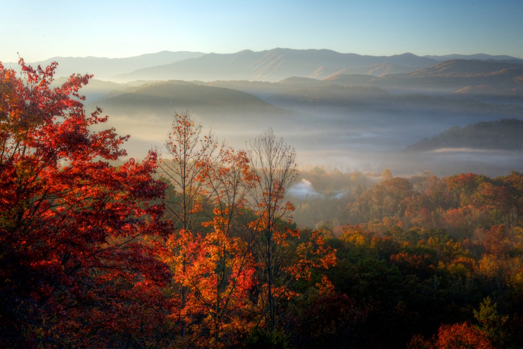 Fog In Smoky Mountains Wallpapers Hd - Fall And Fog , HD Wallpaper & Backgrounds