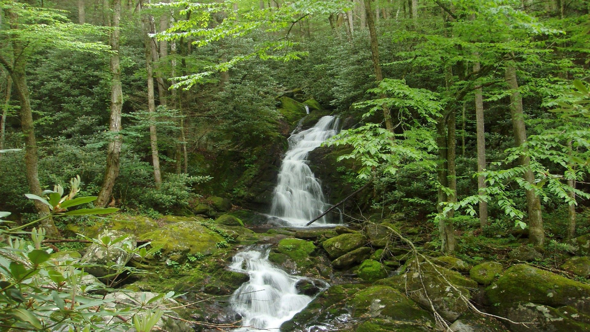 Greate Smoky Mountains National Park Hd Free Wallpapers - Waterfall , HD Wallpaper & Backgrounds