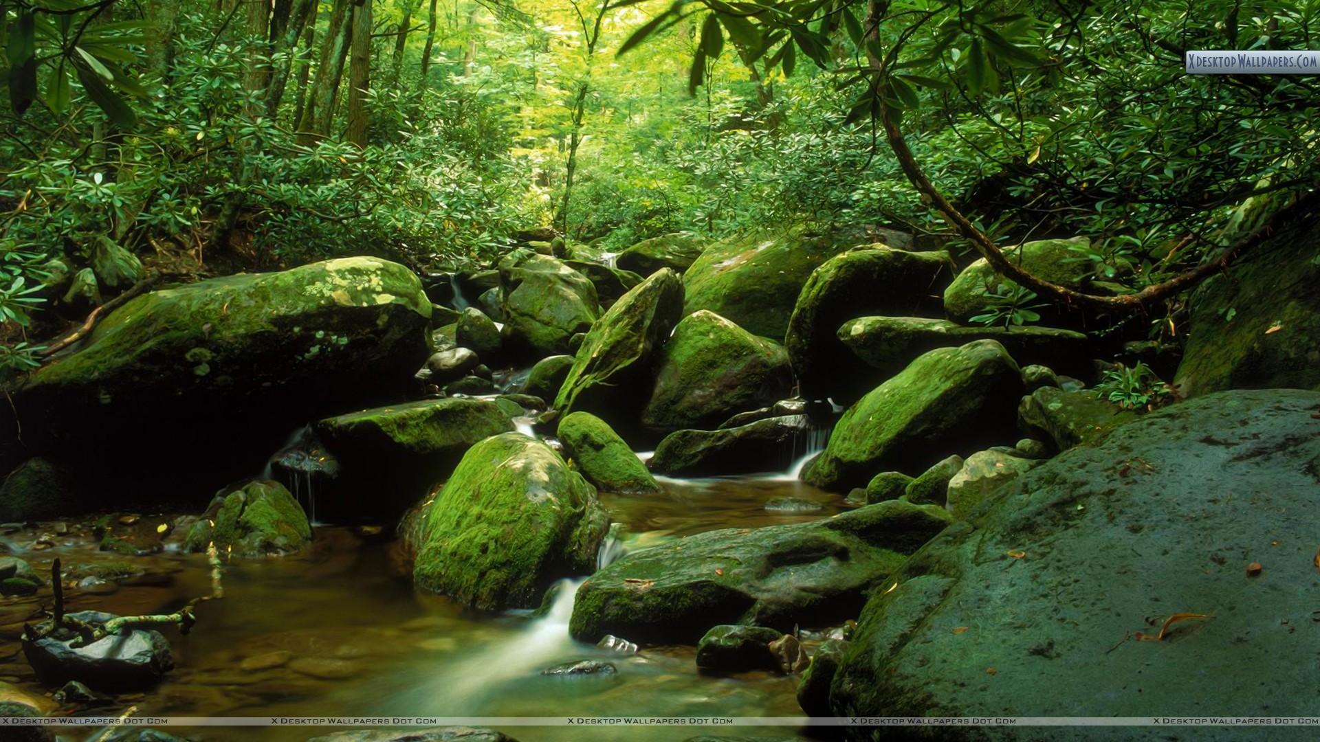 You Are Viewing Wallpaper - Great Smoky Mountains National Park , HD Wallpaper & Backgrounds