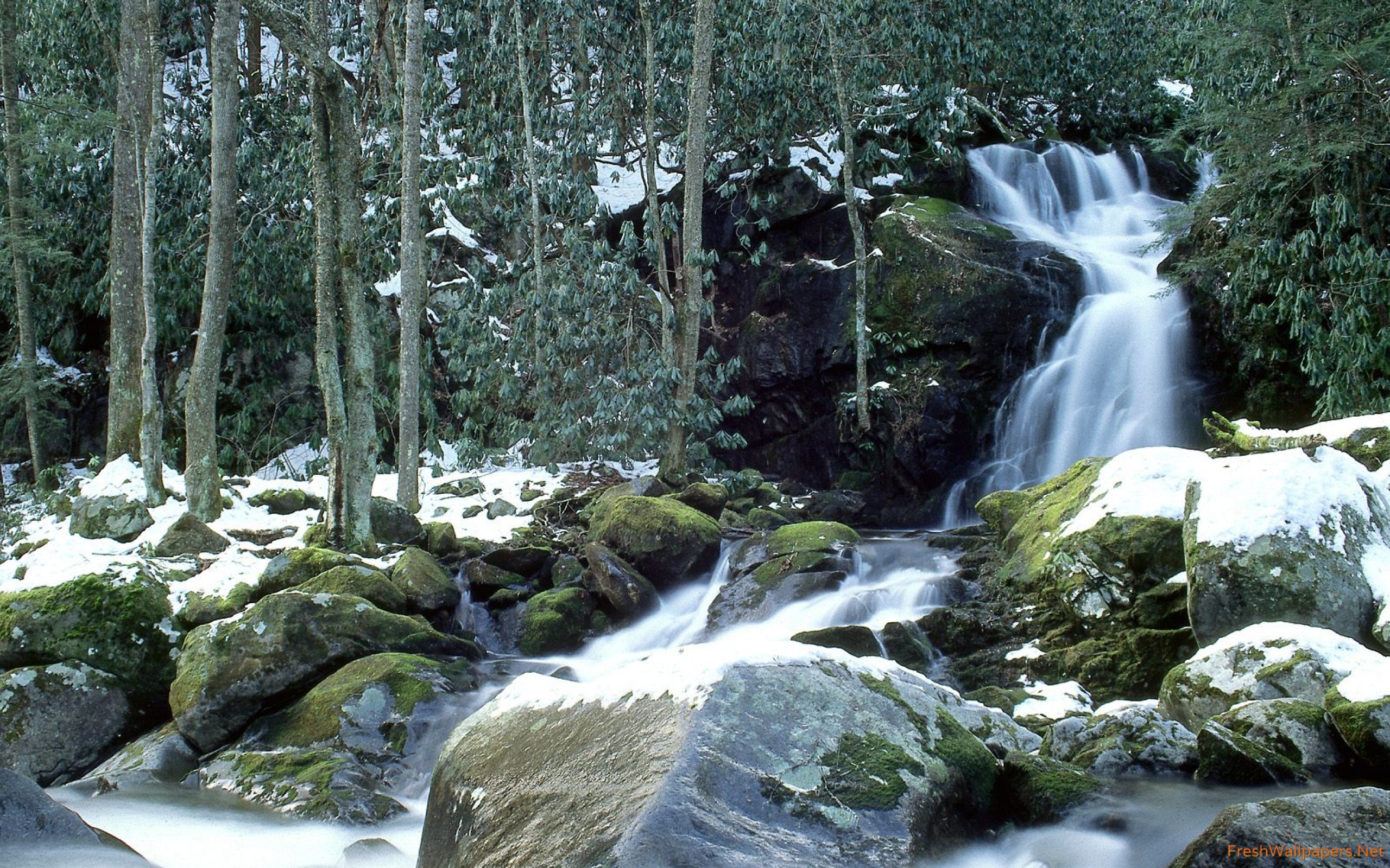 Mouse Creek Falls In Winter, Great Smoky Mountains, - Winter Smoky Mountains Creek , HD Wallpaper & Backgrounds