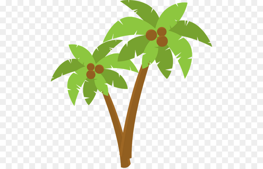Tree, Arecaceae, Desktop Wallpaper, Plant, Flower Png - Moana Coconut Clipart Png , HD Wallpaper & Backgrounds