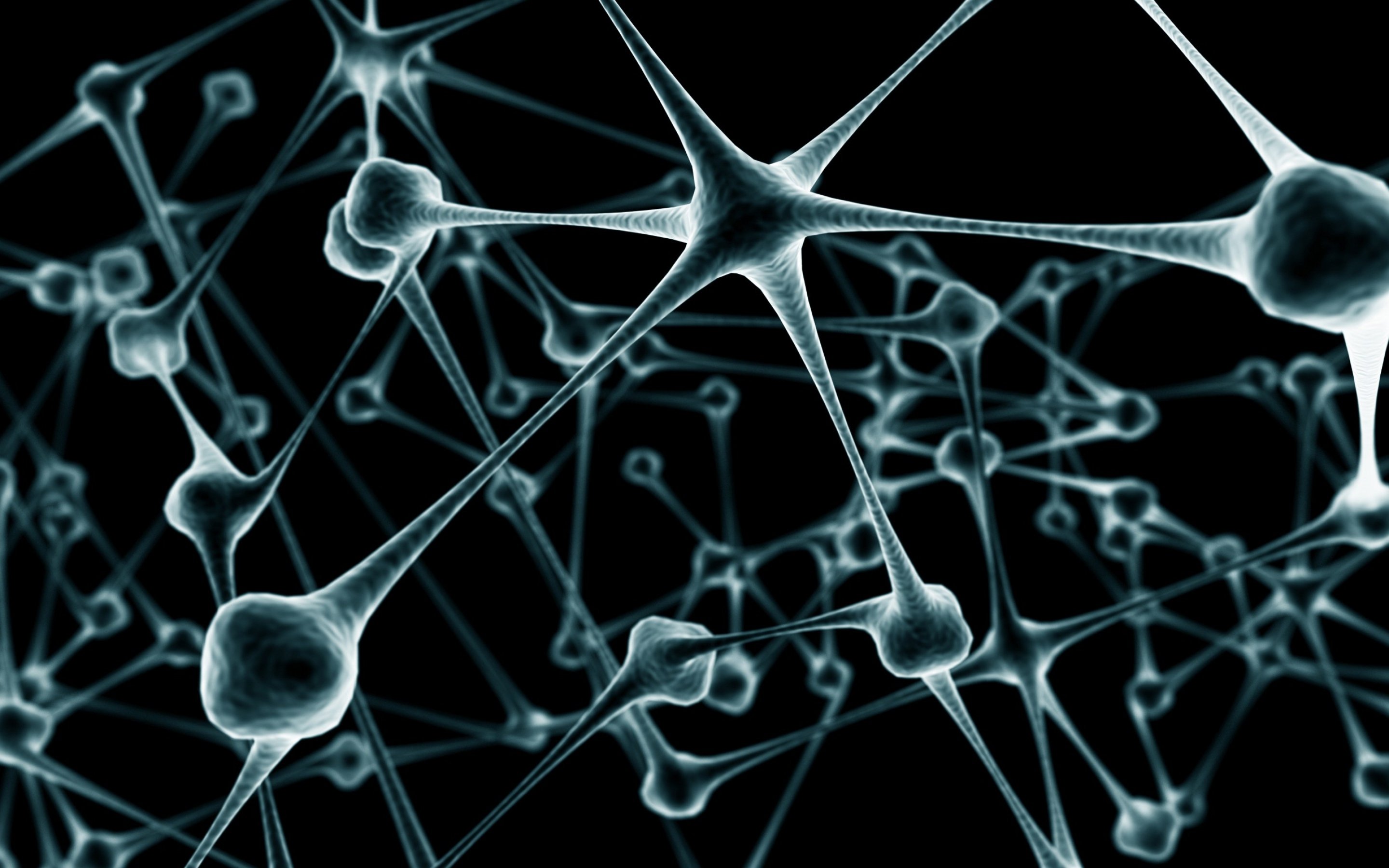 4 - Neural Network Image Free , HD Wallpaper & Backgrounds