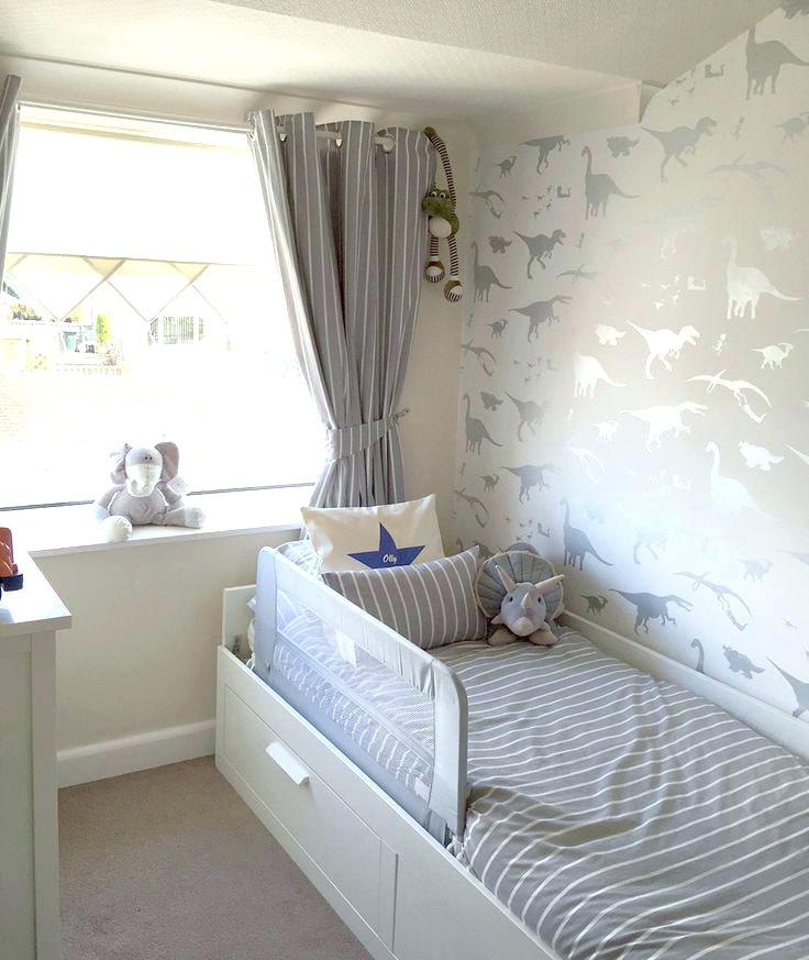 Boy - Grey Dinosaur Bedroom , HD Wallpaper & Backgrounds