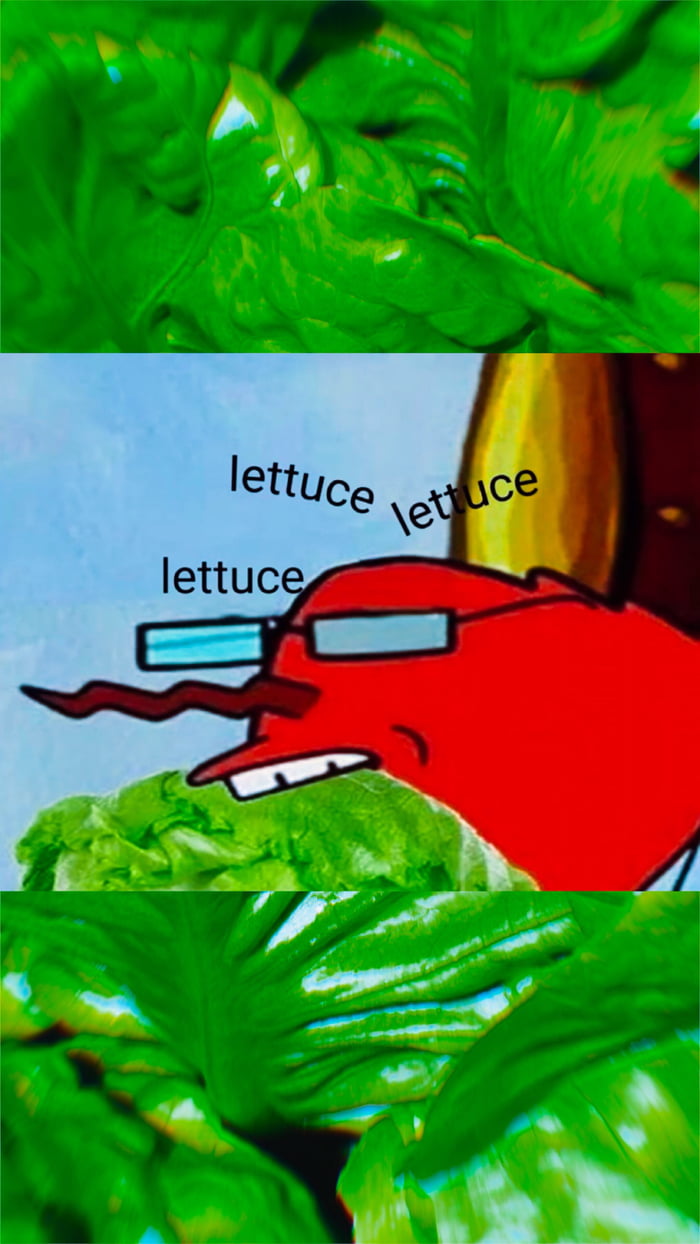 Krabs Lettuce Wallpaper - Mr Krabs Eating Lettuce , HD Wallpaper & Backgrounds