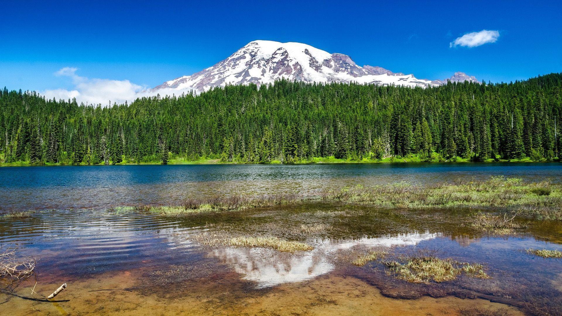 Mount Rainier National Park Wallpaper - Mount Rainier National Park, Nisqually Glacier , HD Wallpaper & Backgrounds