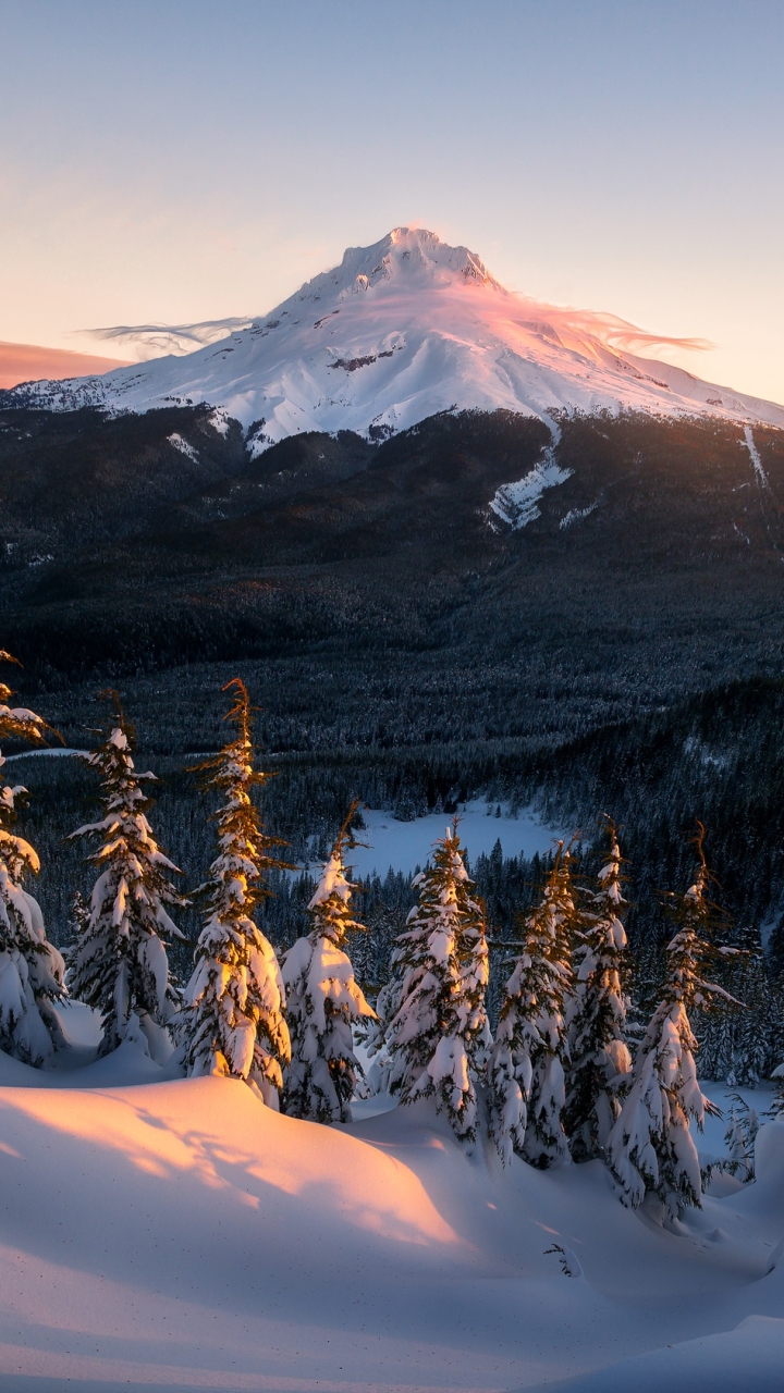 Earth / Mount Rainier Mobile Wallpaper - Mount Rainier Wallpaper Iphone , HD Wallpaper & Backgrounds