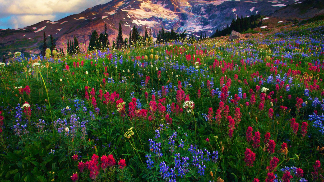 Mt Rainier - Mount Rainier National Park, Nisqually Glacier , HD Wallpaper & Backgrounds
