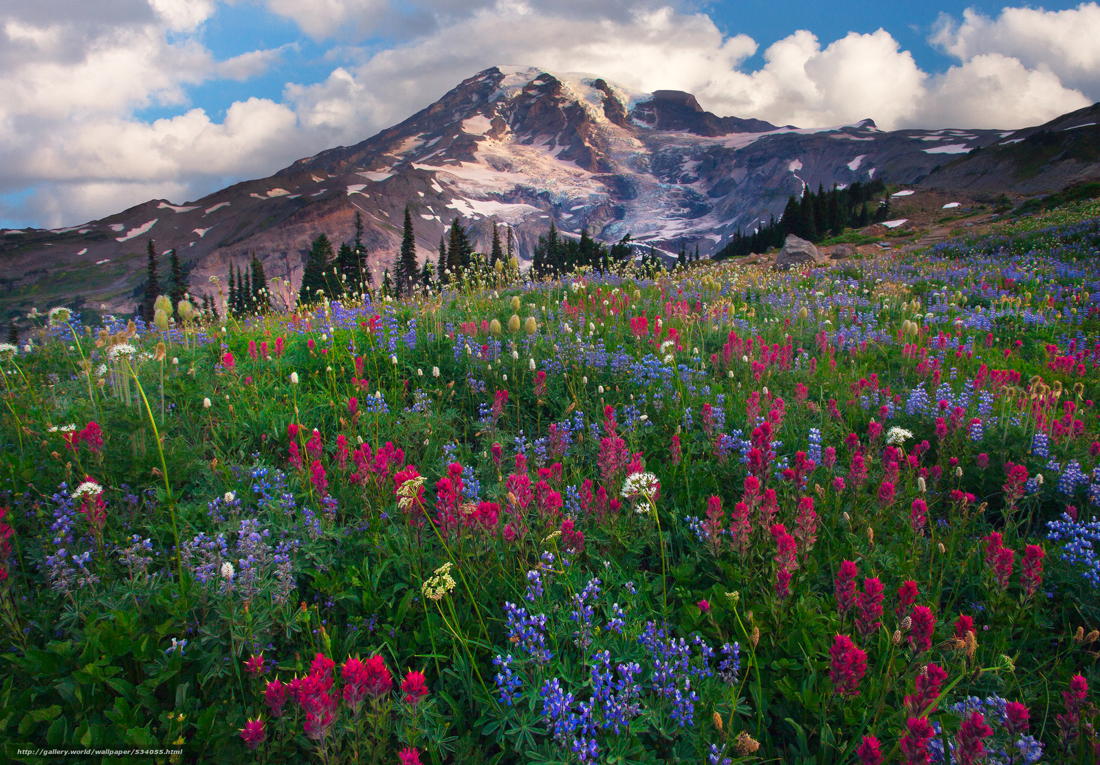 Mount Rainier National Park Hd Wallpaper 589485 - Mount Rainier National Park, Nisqually Glacier , HD Wallpaper & Backgrounds