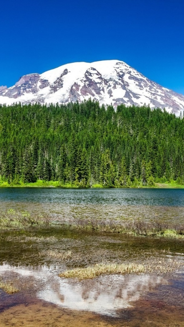 Mount Rainier National Park , HD Wallpaper & Backgrounds