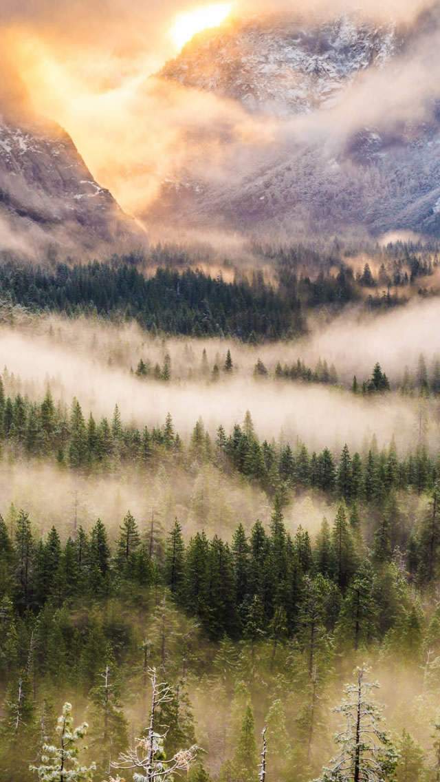 Misty Mountain Wallpaper - Forest Mountains Iphone , HD Wallpaper & Backgrounds