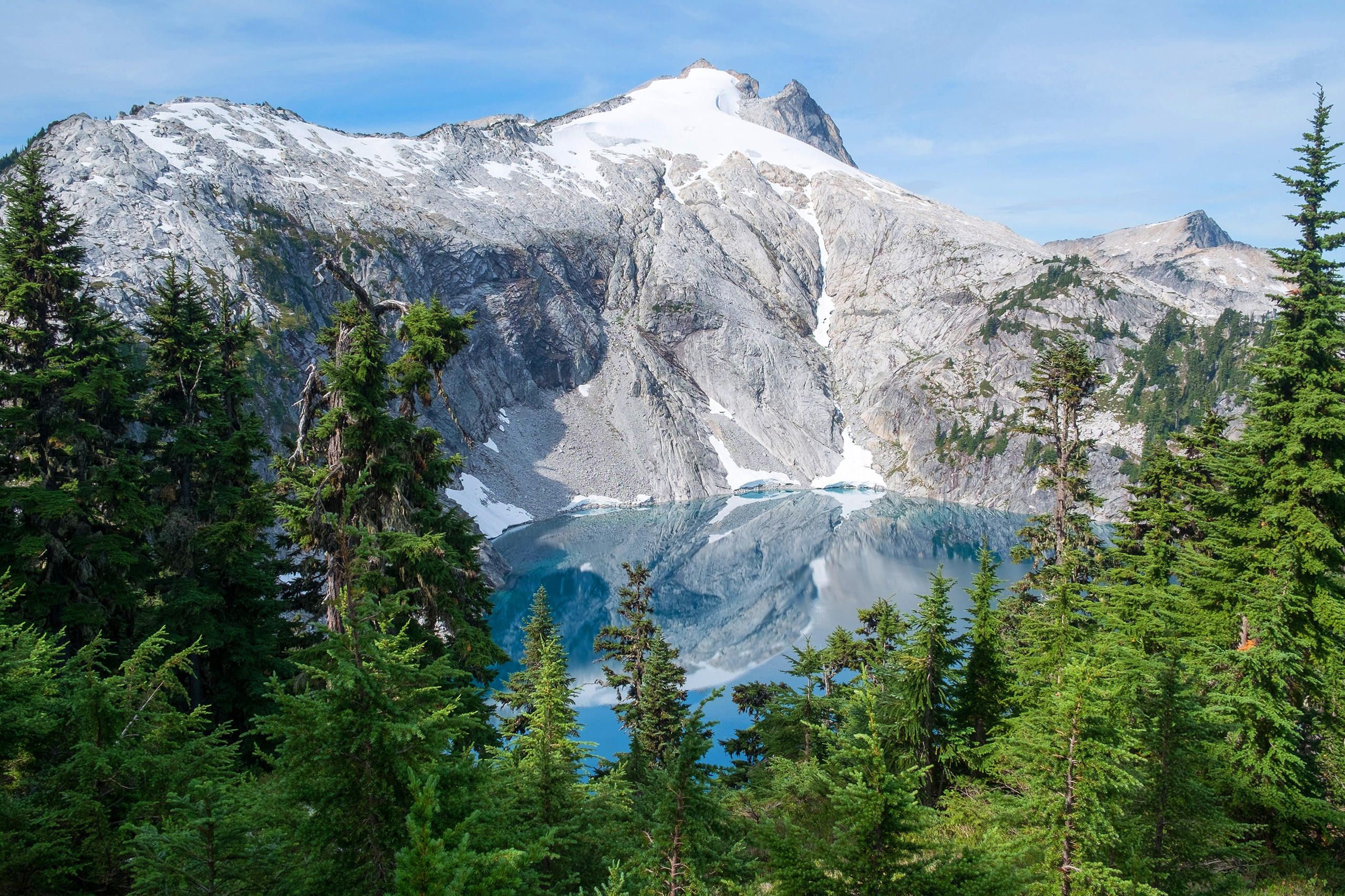 Wallpaper Usa, Forest, Mount Rainier National Park, - Mount Rainier National Park 1920 By 1080 , HD Wallpaper & Backgrounds