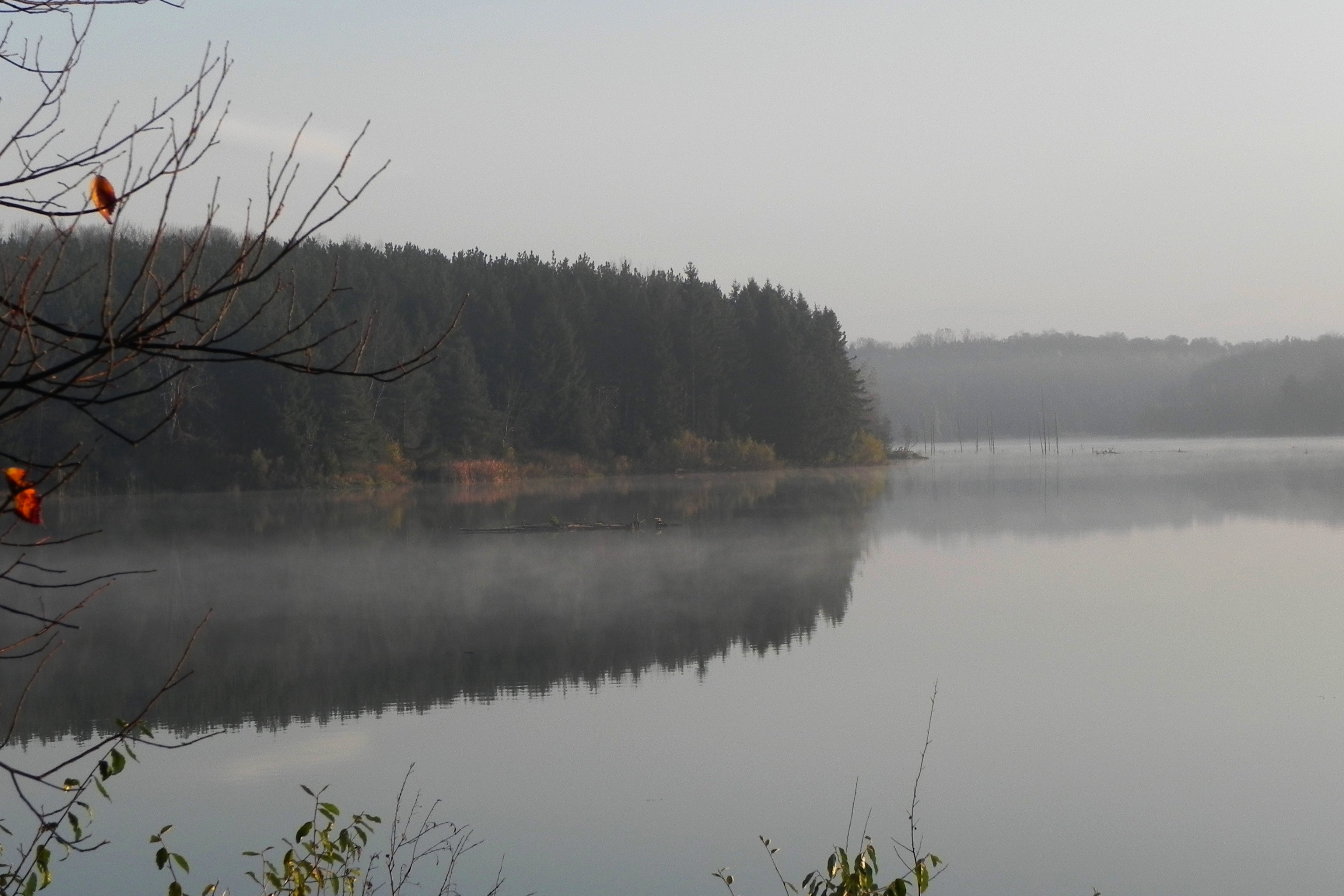 Lake Misty Water Nature Reflection Mist Trees Wallpaper - Reflection , HD Wallpaper & Backgrounds