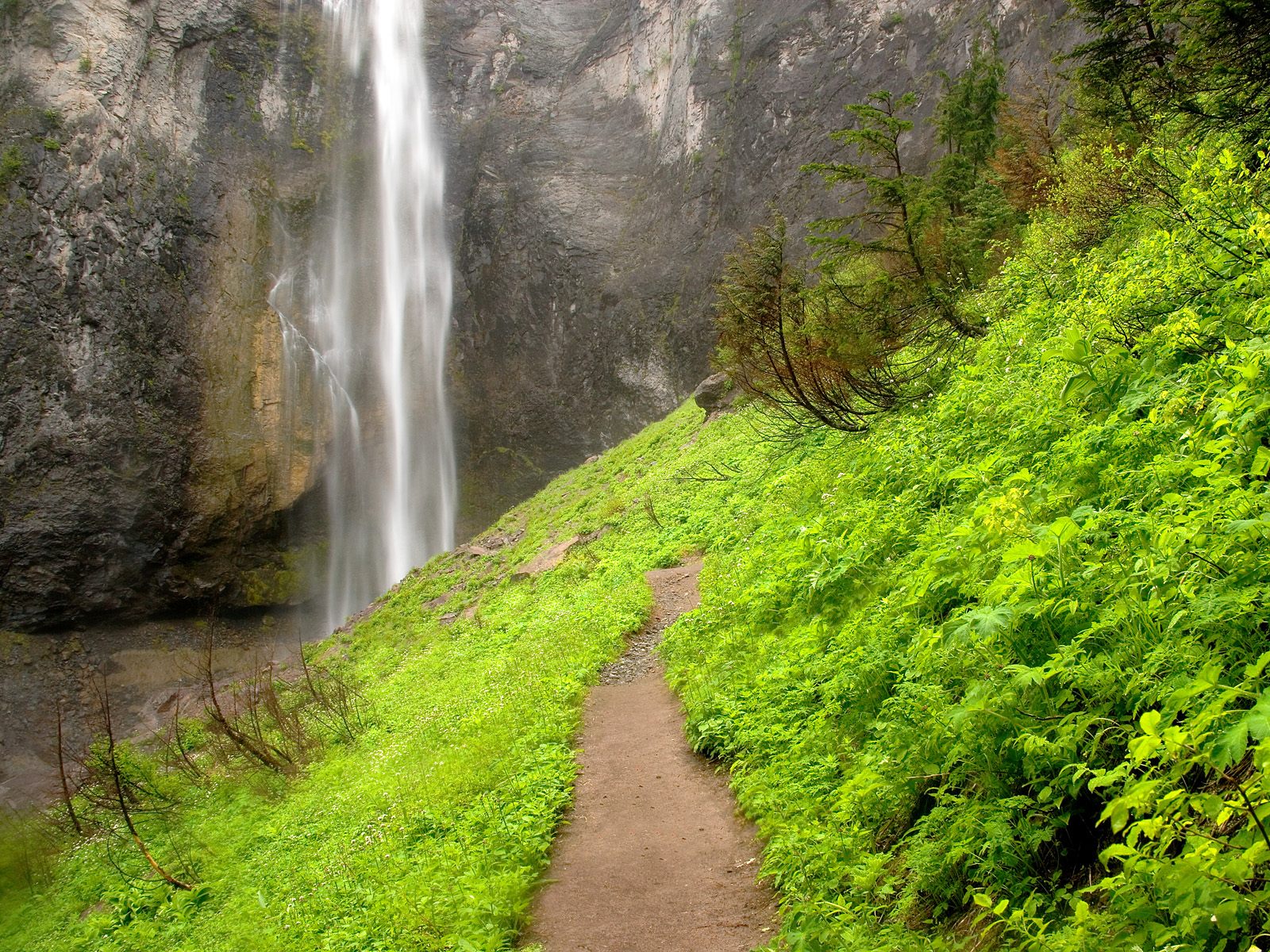 Comet Falls Mount Rainier National Park Washington - Mt Rainier National Park , HD Wallpaper & Backgrounds