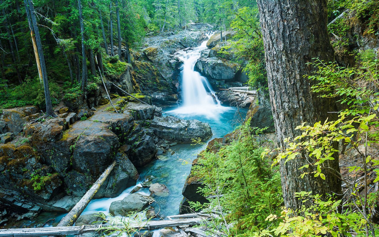 Silver Falls, Ohanapecosh River, Mt - Mount Rainier National Park , HD Wallpaper & Backgrounds