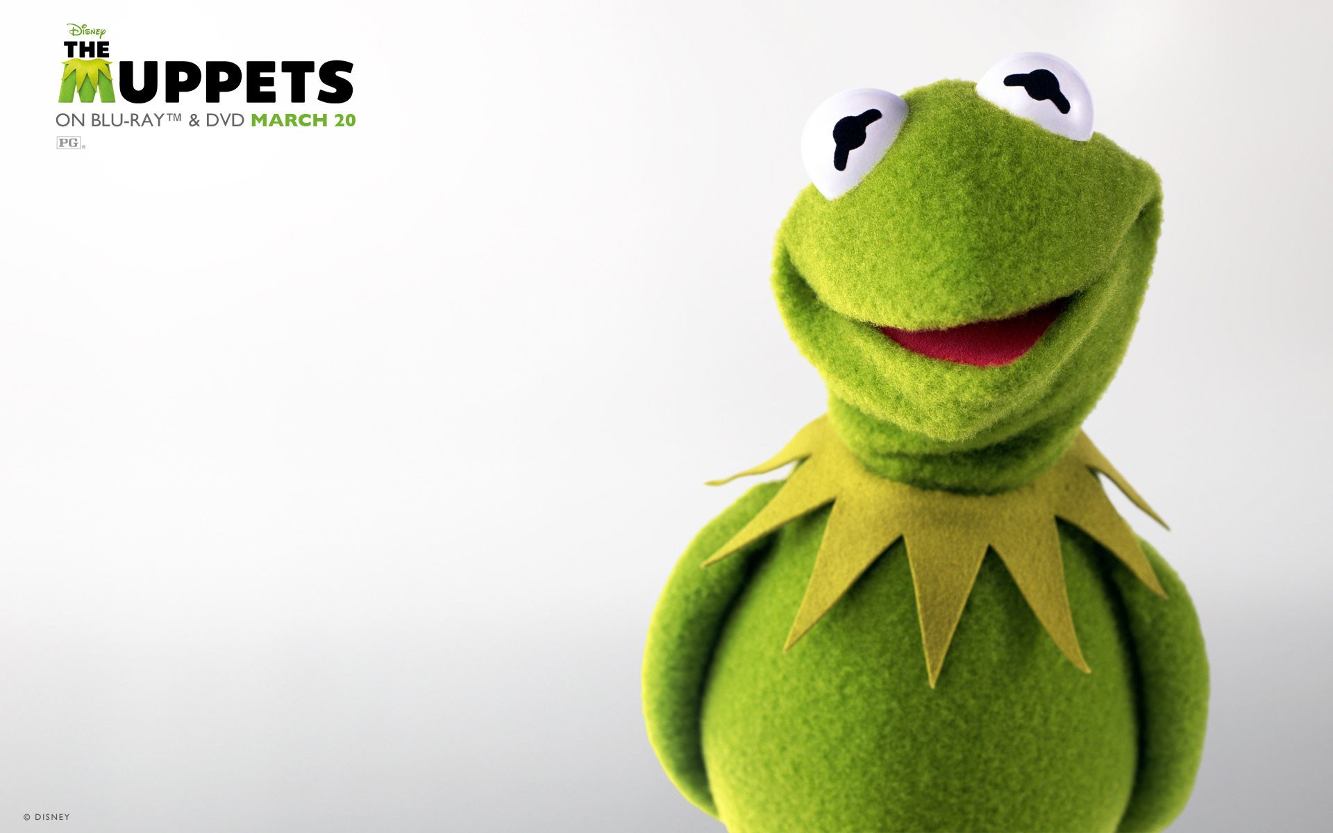 Kermit The Frog Supreme Wallpaper - Kermit The Frog Hd , HD Wallpaper & Backgrounds
