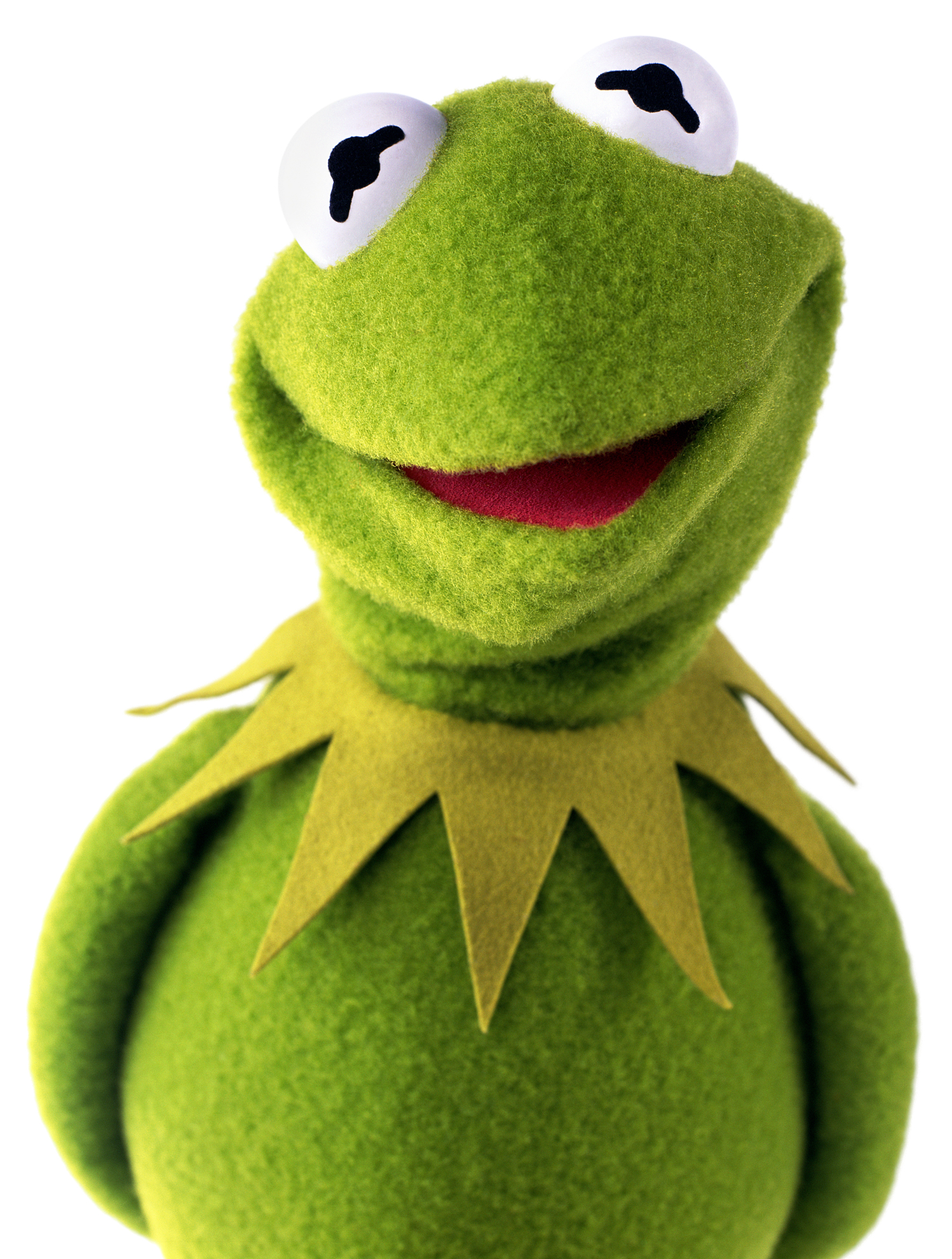 Kermit , HD Wallpaper & Backgrounds