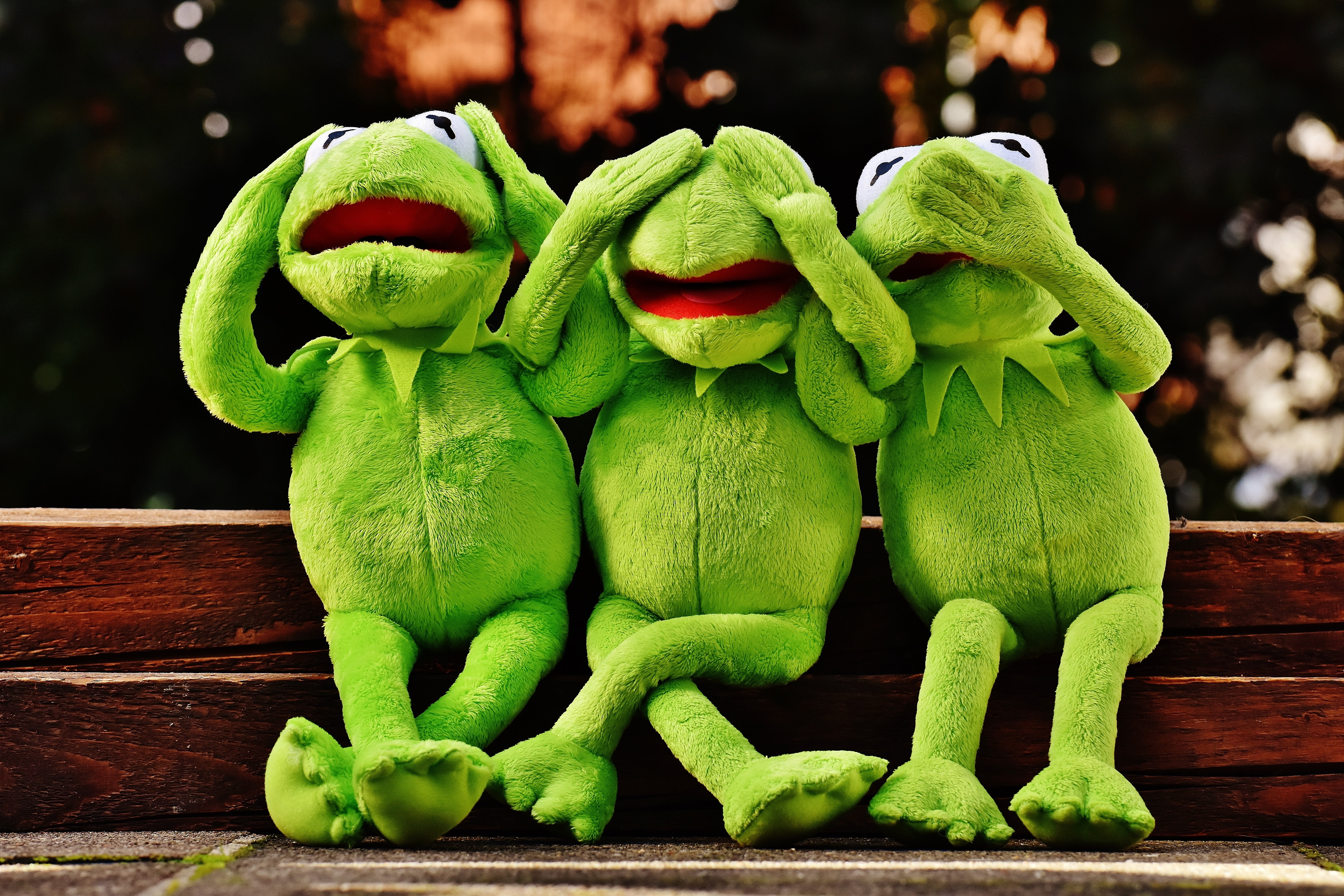 Kermit Fun , HD Wallpaper & Backgrounds