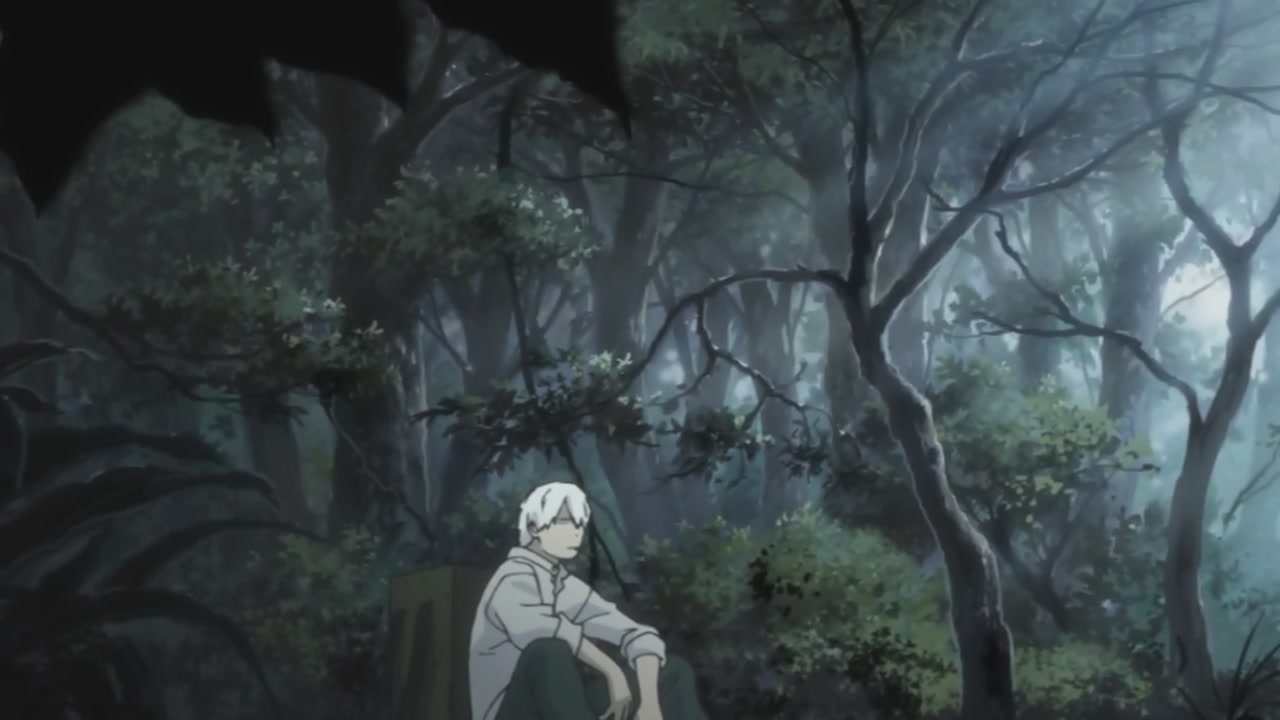 Mushishi Wallpaper Gallery - Mushishi Anime , HD Wallpaper & Backgrounds