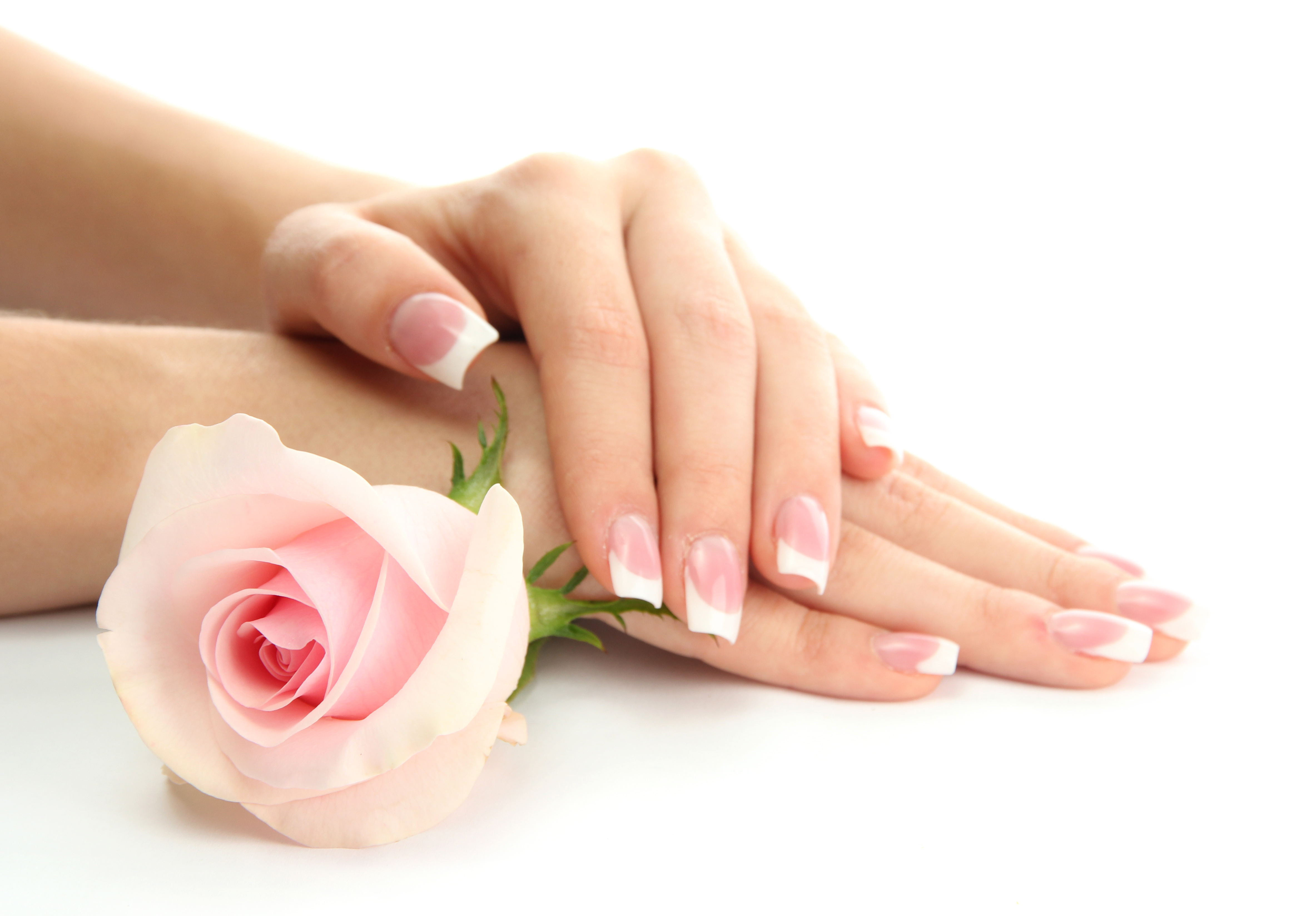 Suki Nails Spa - Beautiful Woman Hands , HD Wallpaper & Backgrounds