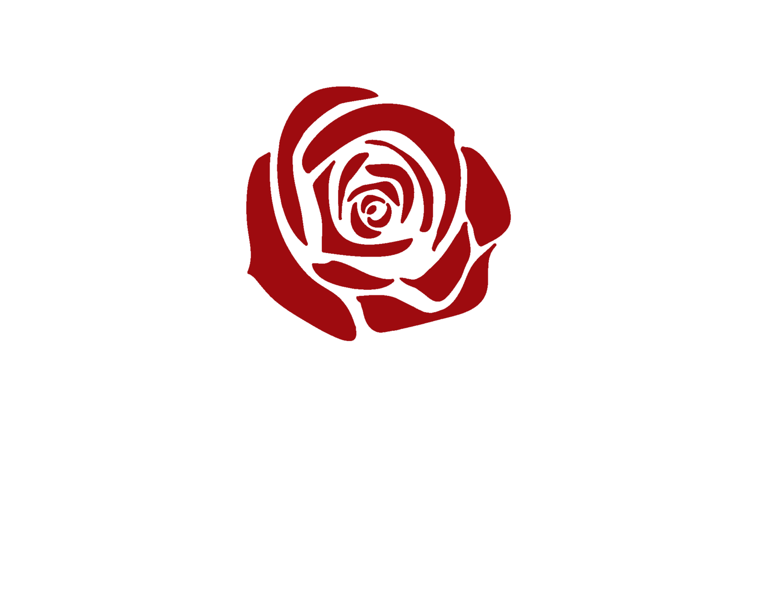 Labour Rose , HD Wallpaper & Backgrounds