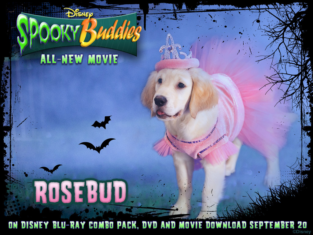 Rose Bud - Spooky Buddies B Dawg , HD Wallpaper & Backgrounds