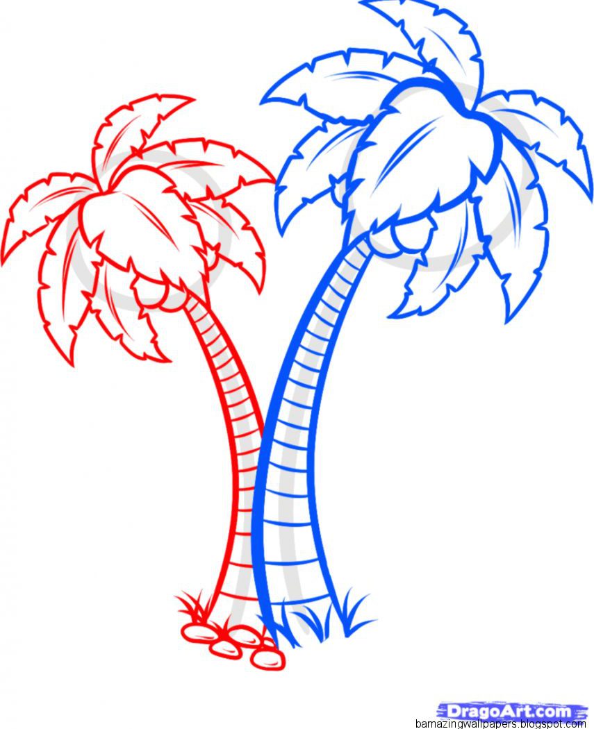 Tropical Rainforest Plants Drawings Coloring Pages - Coloring Pages Palm Tree , HD Wallpaper & Backgrounds