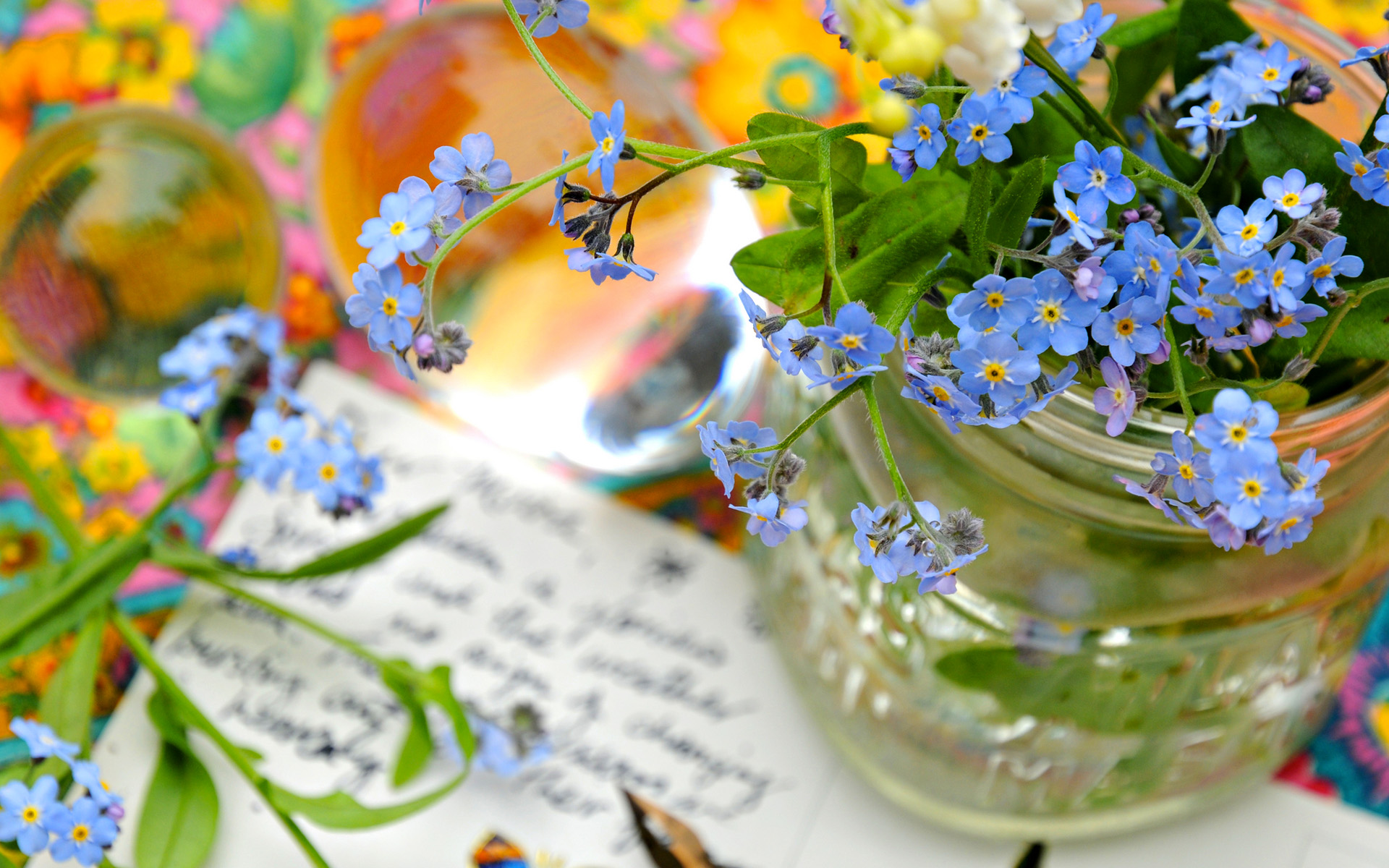 Forget Me Not Flowers Vase - Forget Me Not Flower Jar , HD Wallpaper & Backgrounds